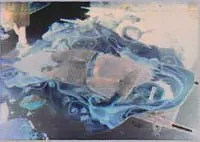 негатив фото из статьи